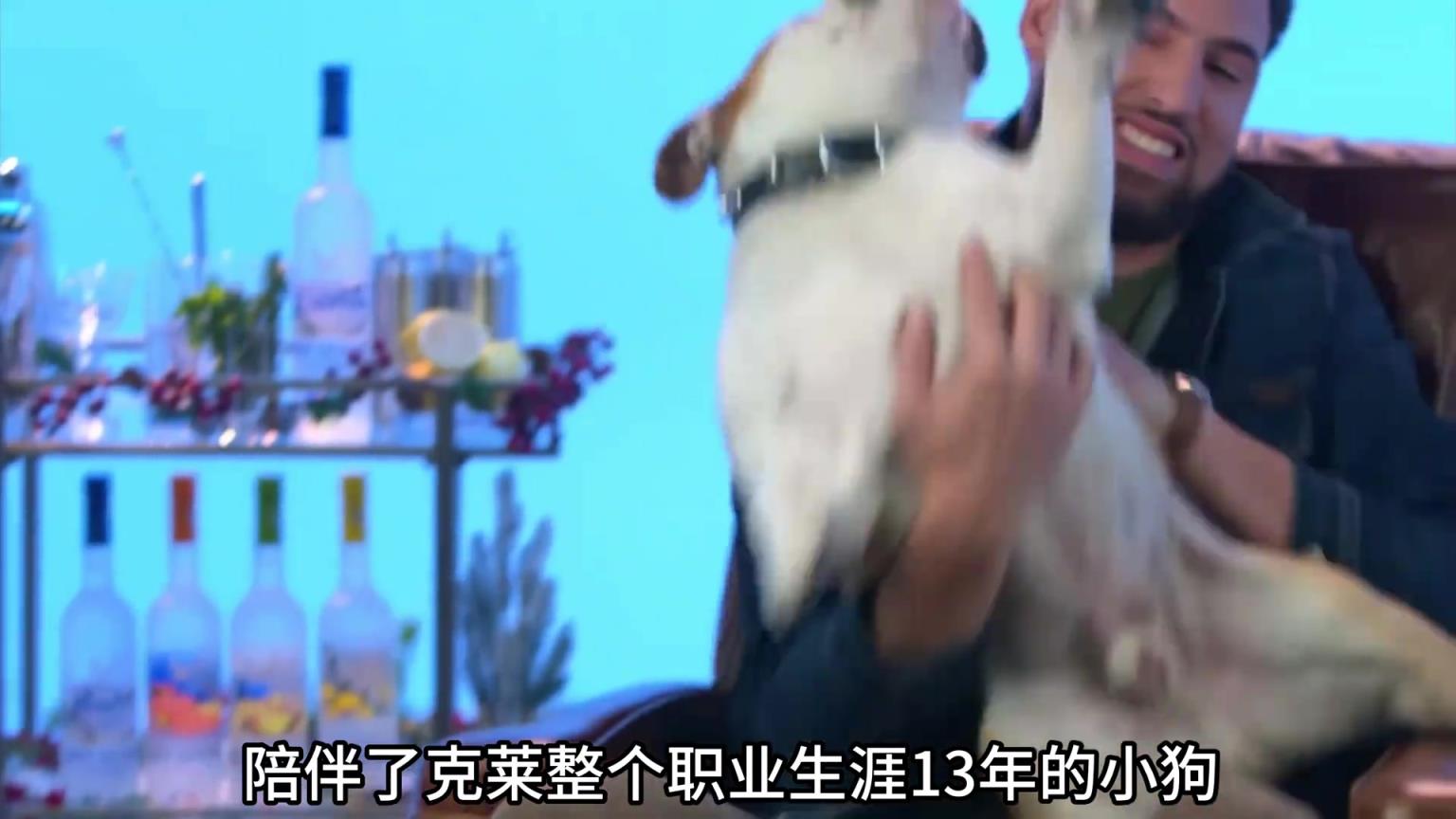 陪伴克萊13年的小狗去世了，不敢相信克萊得多么傷心